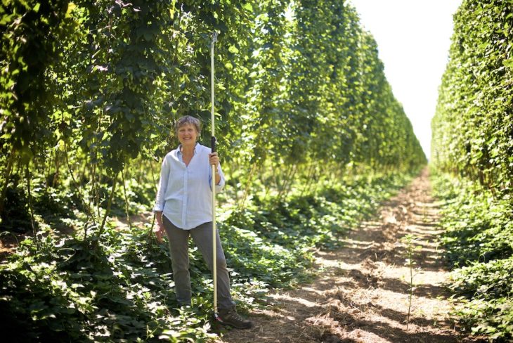 The Story Behind the Riesling Radler - Union Wine Co.