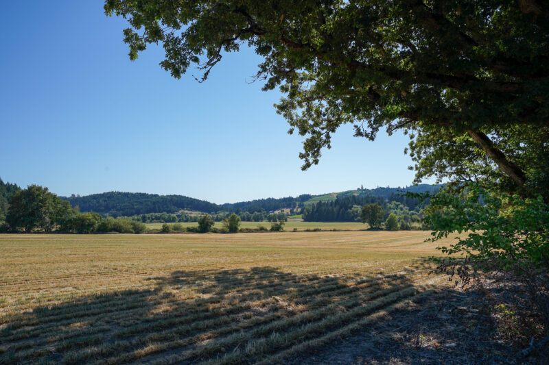 Oregon's Willamette Valley