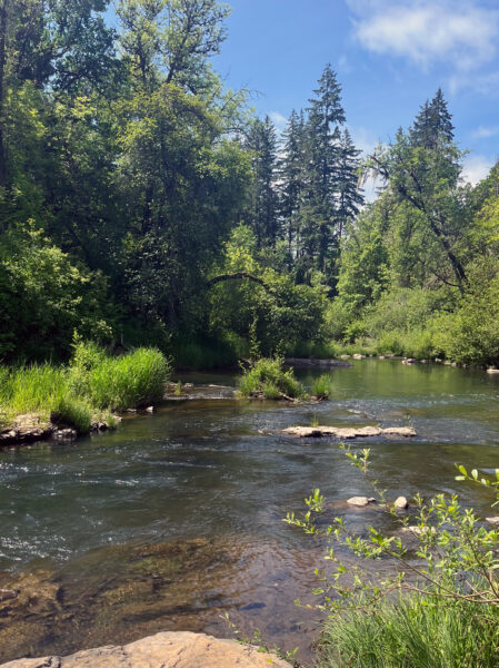 River in the Willamette Valley