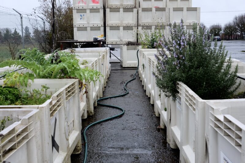 Union Wine Co. Winery Garden